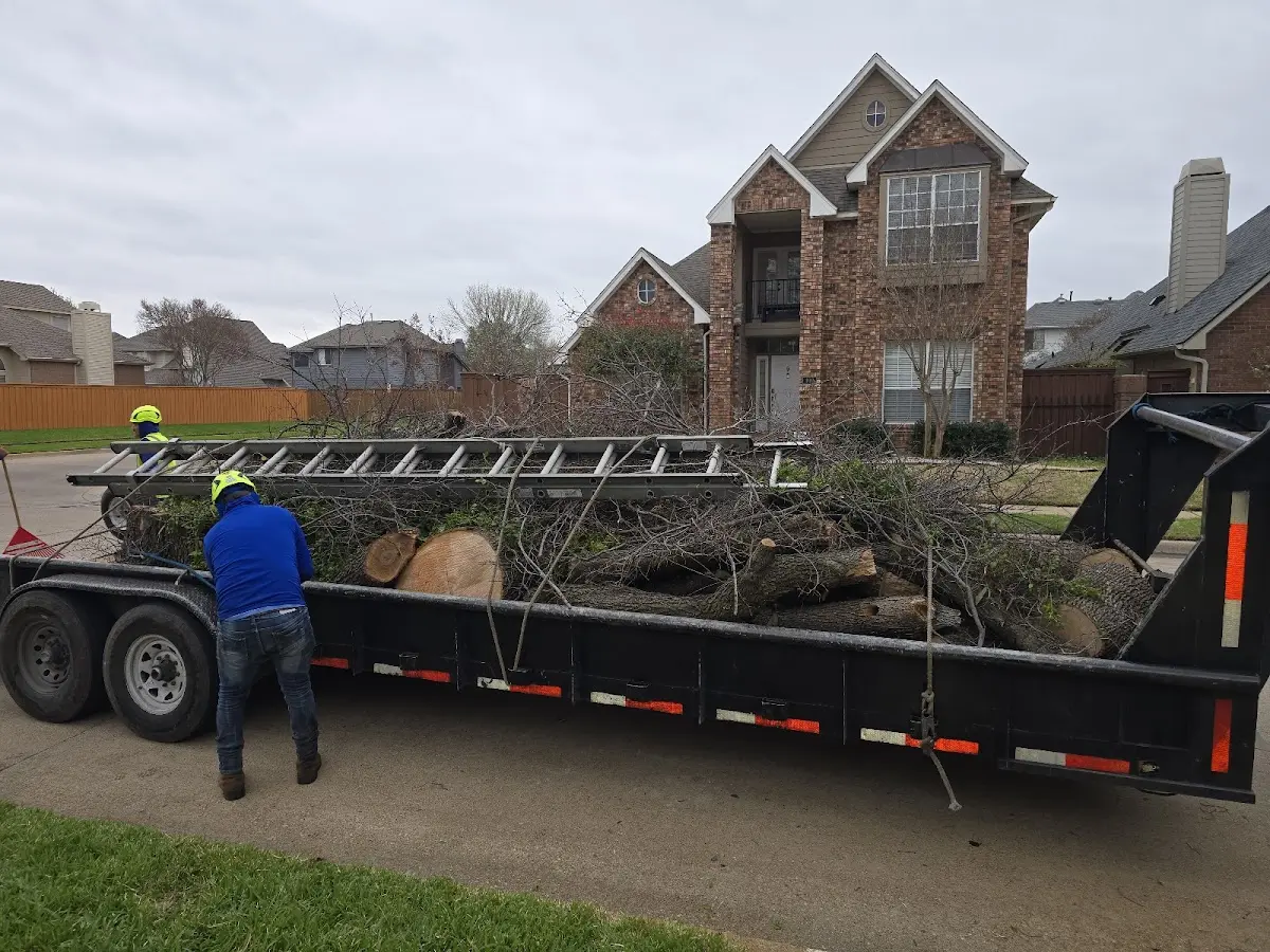 Expert Tree Fertilization with proper safety equipment in Homewood